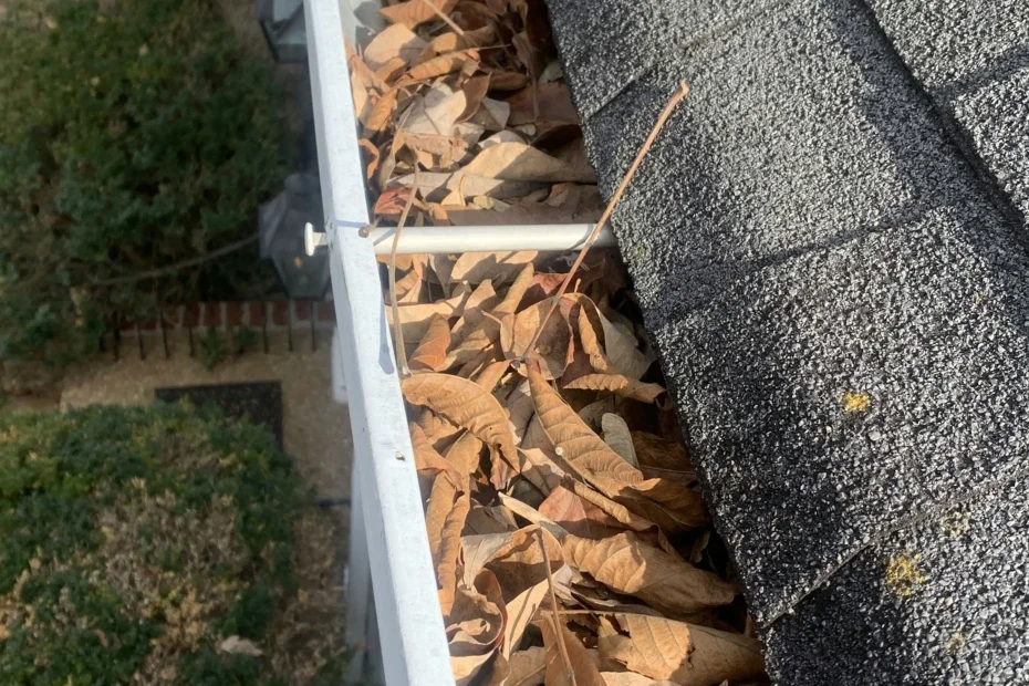 Gutter Cleaning Canton NC